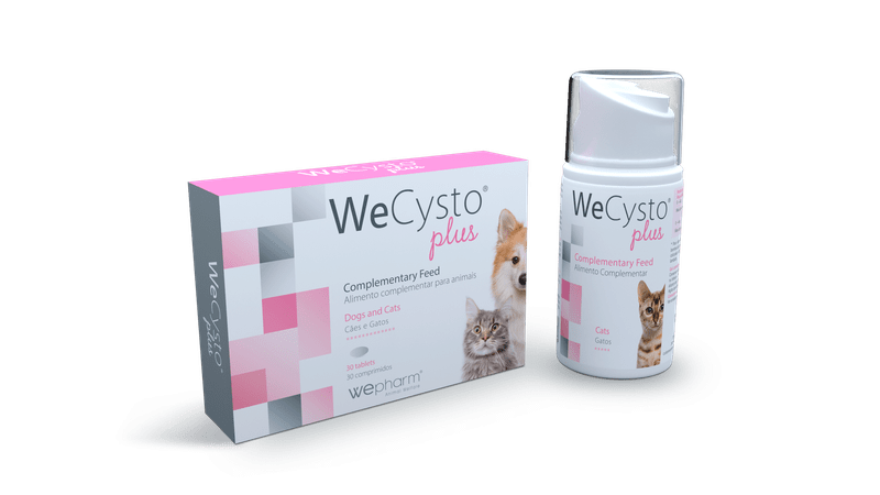 WeCysto Plus